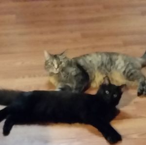 Meet your Posher, Angie